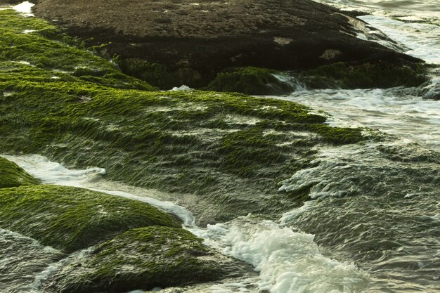 Río que fluye a través de las rocas cubiertas de musgo verde