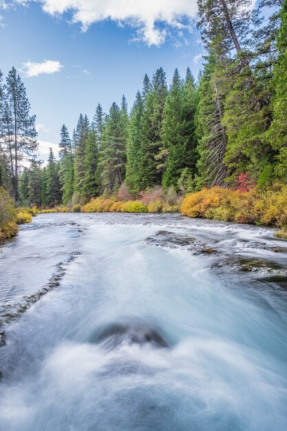 Río rodeado de flores en otoño durante el día