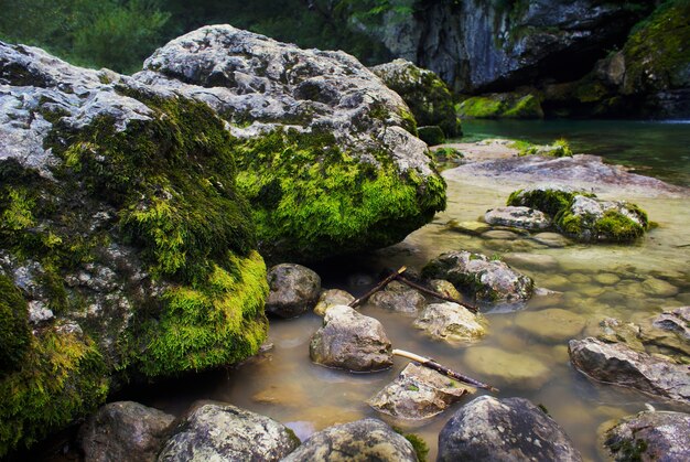 Río rodeado de rocas cubiertas de musgo bajo la luz del sol en Bovec en Eslovenia