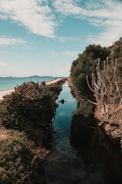 Río rodeado de verdes relucientes bajo el cielo nublado en Río de Janeiro, Brasil