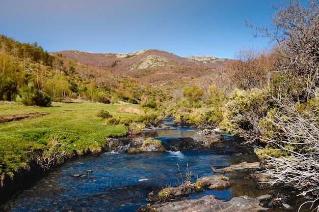 Río salvaje en paisaje de montaña