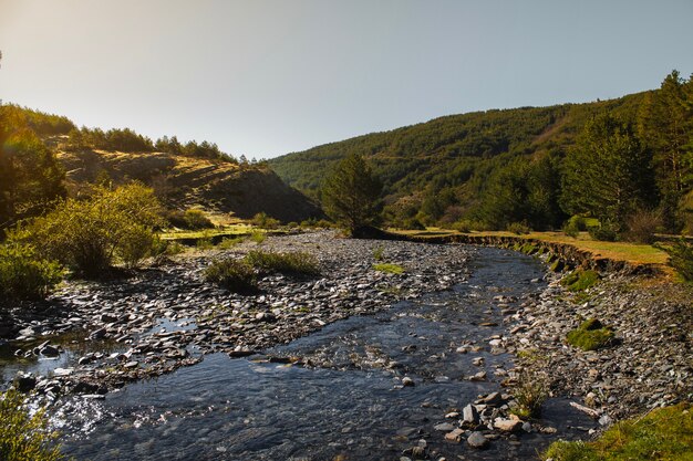 Río salvaje de piedras