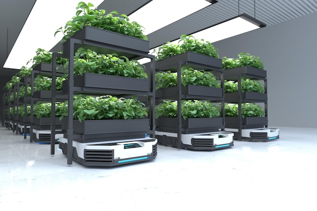 Robot de transporte automático que transporta plantas Concepto de agricultores robóticos inteligentes