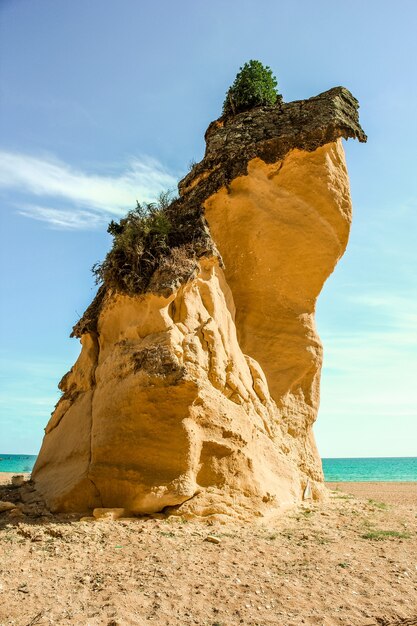 Roca cubierta de musgo en la playa de Albufeira rodeada por el mar en Portugal