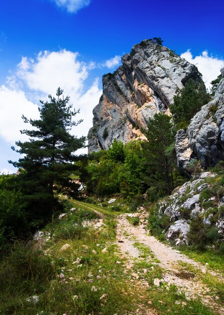 Roca individual en la montaña en verano