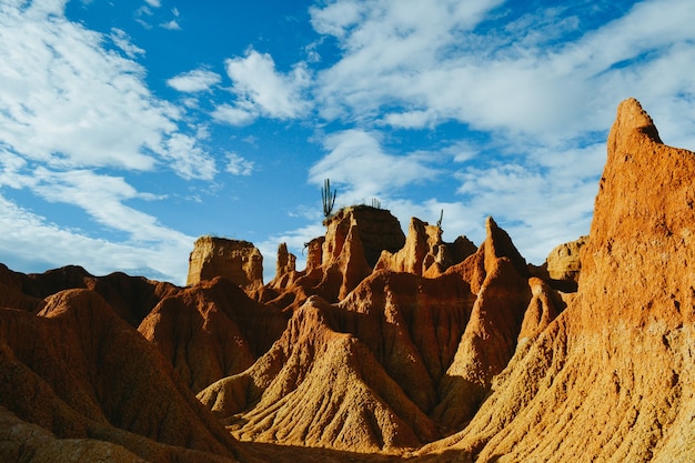 Las rocas arenosas y plantas silvestres en el desierto de Tatacoa, Colombia bajo el cielo nublado