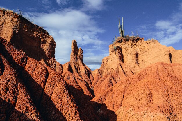 Las rocas arenosas y plantas silvestres en el desierto de Tatacoa, Colombia bajo el cielo nublado