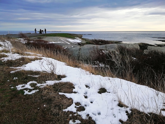 Rocas cubiertas de ramas y nieve rodeadas por el mar bajo un cielo nublado en Rakke en Noruega