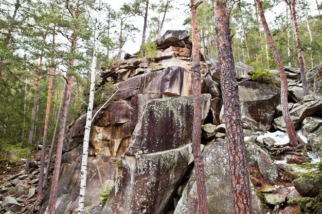 Rocas de Dovbush en bosque verde en las montañas de los Cárpatos