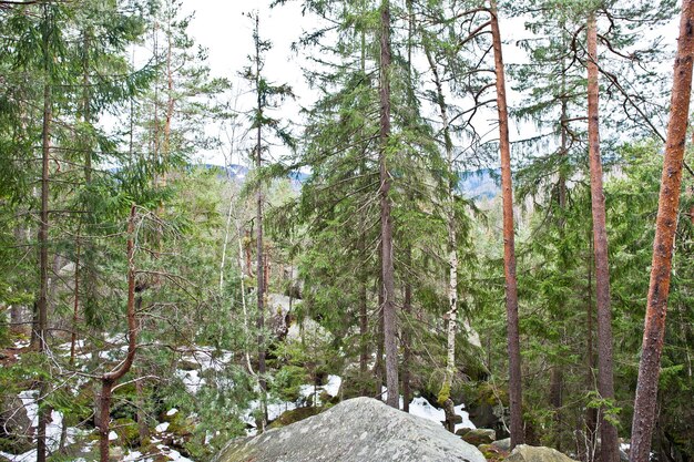 Rocas de Dovbush en bosque verde en las montañas de los Cárpatos