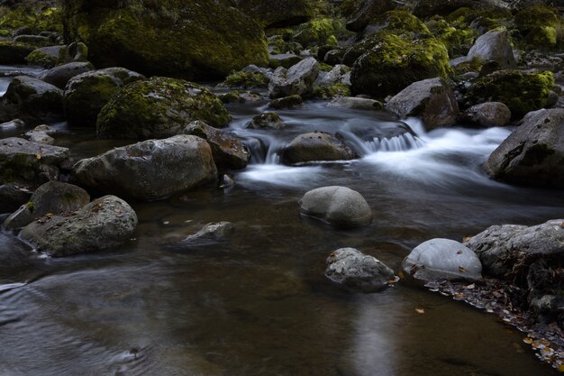 Foto gratuita rocas grises en el río durante el día