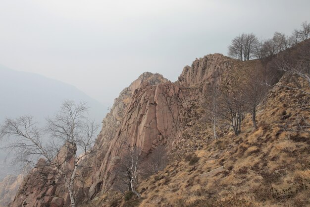 Rocas hierba seca y árboles audaces durante el día