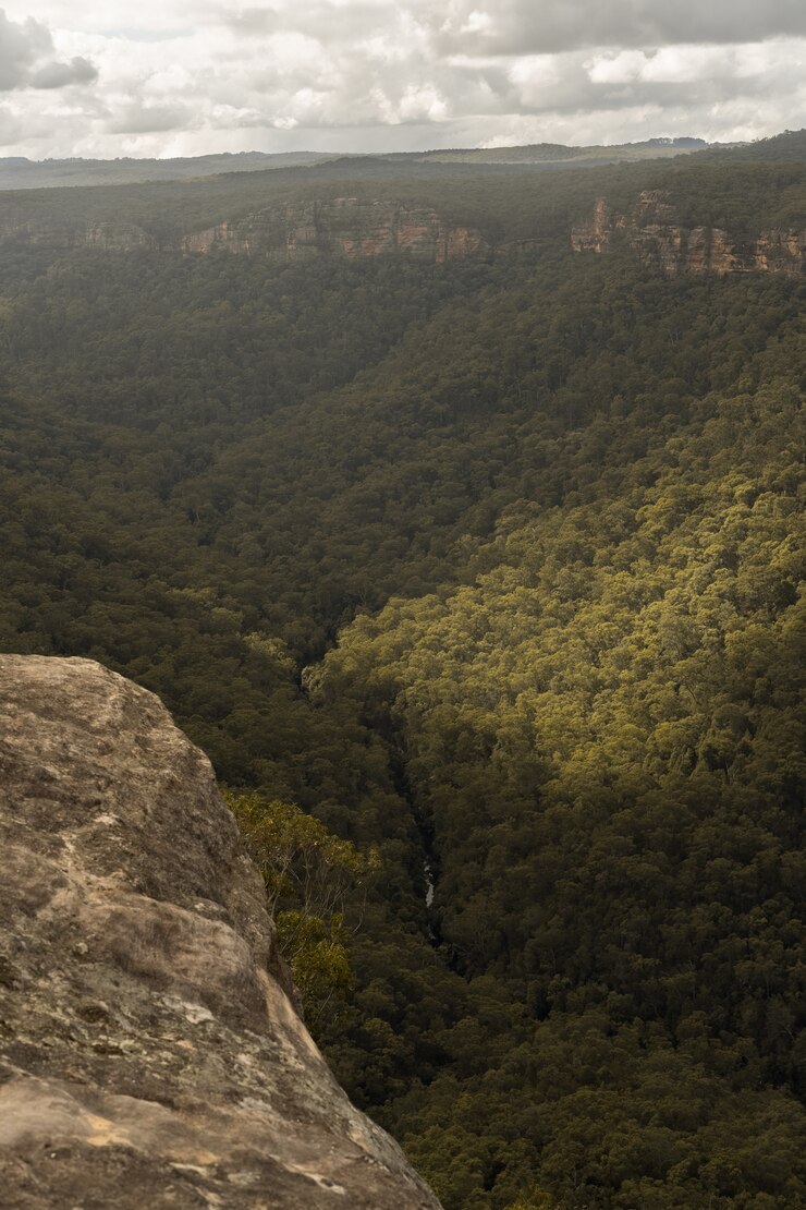 Foto gratuito rocas y montañas cubiertas de bosques bajo un cielo nublado y luz solar