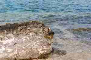 Foto gratuita rocas en la orilla