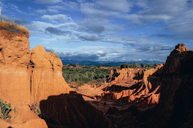 Rocas y plantas silvestres bajo el cielo nublado en el desierto de Tatacoa, Colombia