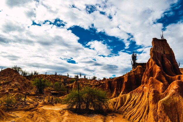 Rocas rojas y plantas exóticas en el desierto de la Tatacoa en Colombia bajo el cielo nublado