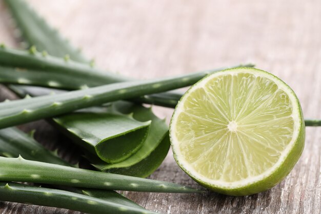 Rodajas de aloe vera para el cuidado de la piel.