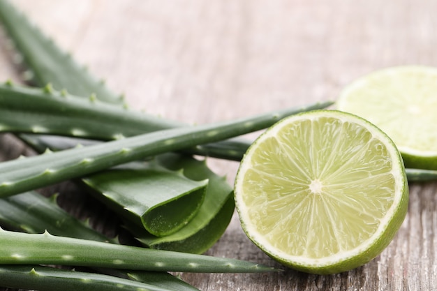 Rodajas de aloe vera para el cuidado de la piel.