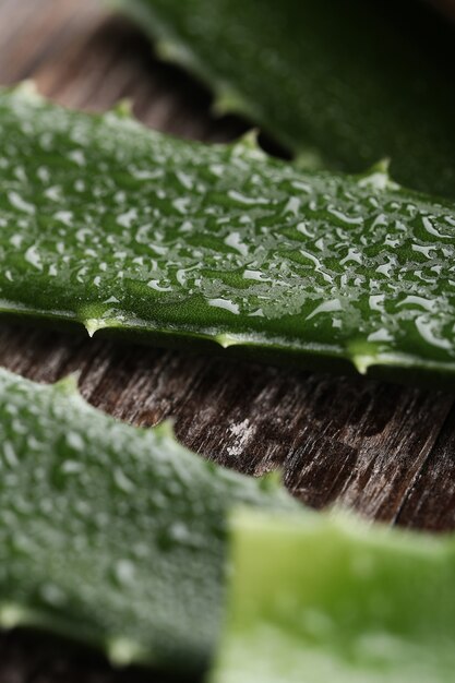 Rodajas de aloe vera para el cuidado de la piel.