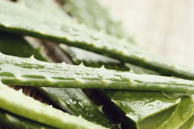 Rodajas de aloe vera para el cuidado de la piel.