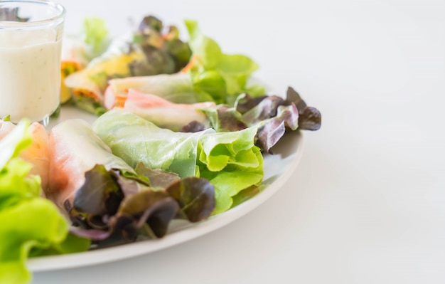 Rodillo de primavera de fideos de vegetales frescos, alimentos de dieta, comida limpia, ensalada