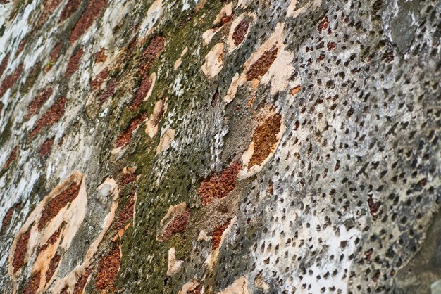 roja muro de piedra de cerca la textura