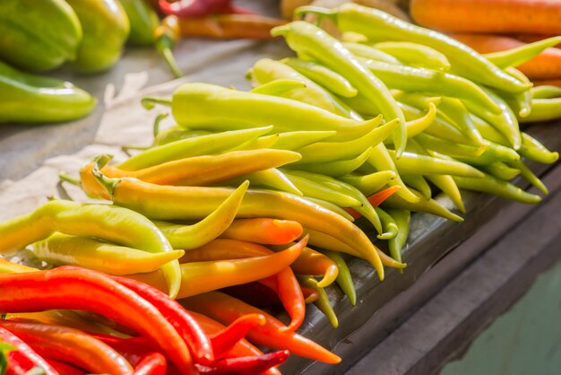 Rojo naranja y verde chile Peppers. Pimienta de plátano, paprika, pimiento de jardín, planta de chile, pimiento rojo, pimiento español, pimiento dulce