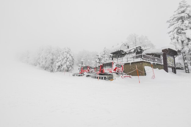 Rojo, nieve, soplador, máquina, vehículo