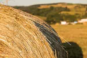 Foto gratuita rollo de primer plano de hays en el campo