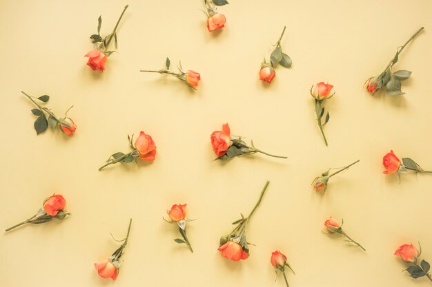 Foto gratuita rosa flores esparcidas en mesa beige