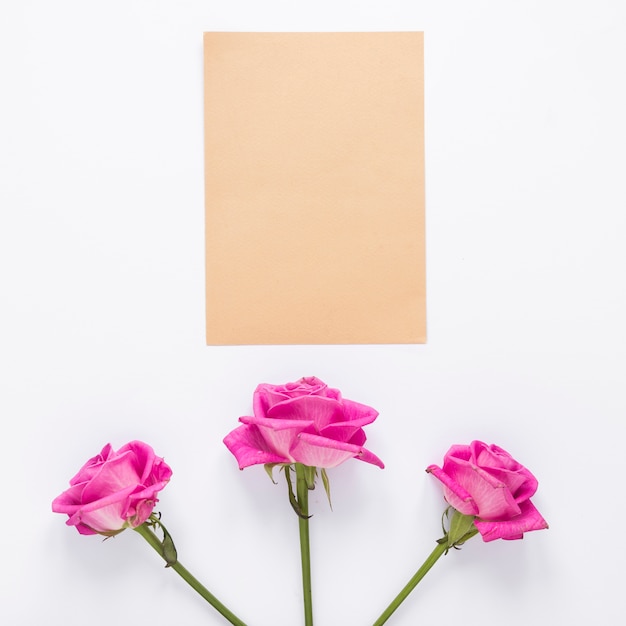Rosa flores con papel en blanco sobre mesa