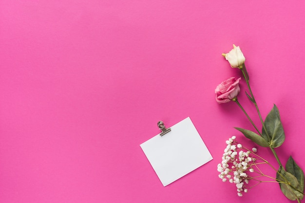 Rosa flores con papel en blanco sobre mesa