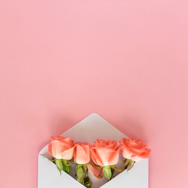 Rosa flores en sobre en mesa rosa
