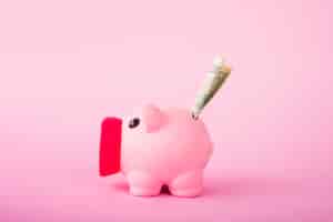 Foto gratuita rosa hucha con dinero