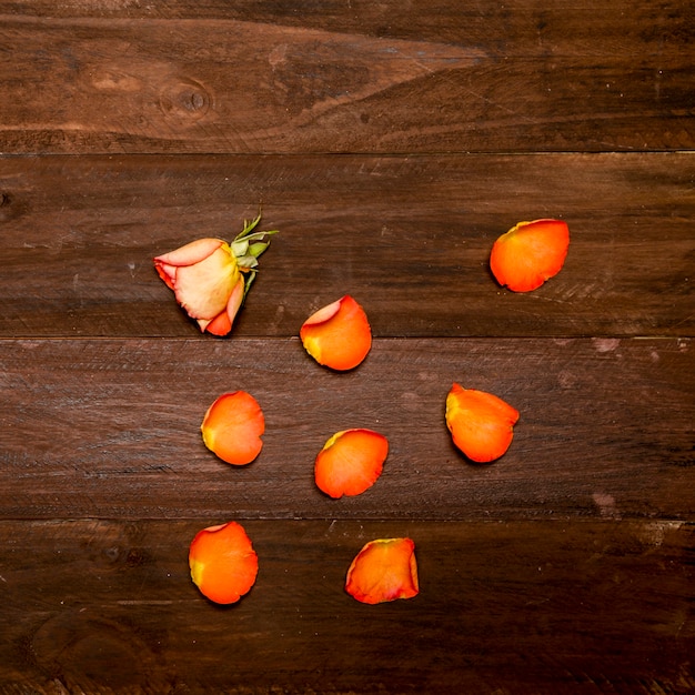 Rosa naranja y pétalos en superficie de madera.