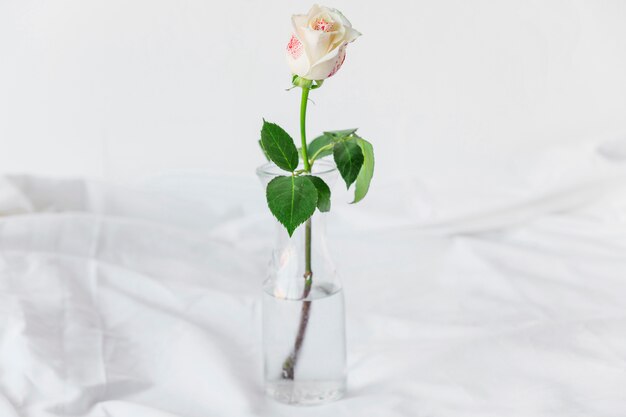 Rosa pintada de pie en jarrón de vidrio sobre mesa