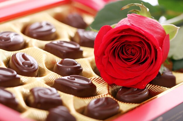 Rosa roja y dulces de chocolate