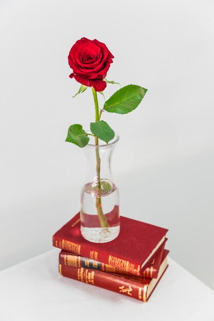 Rosa roja fresca en florero en la pila de libros