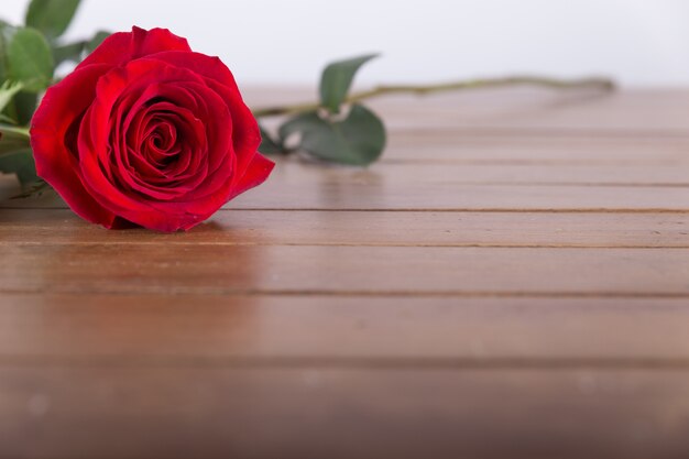 Rosa roja en mesa