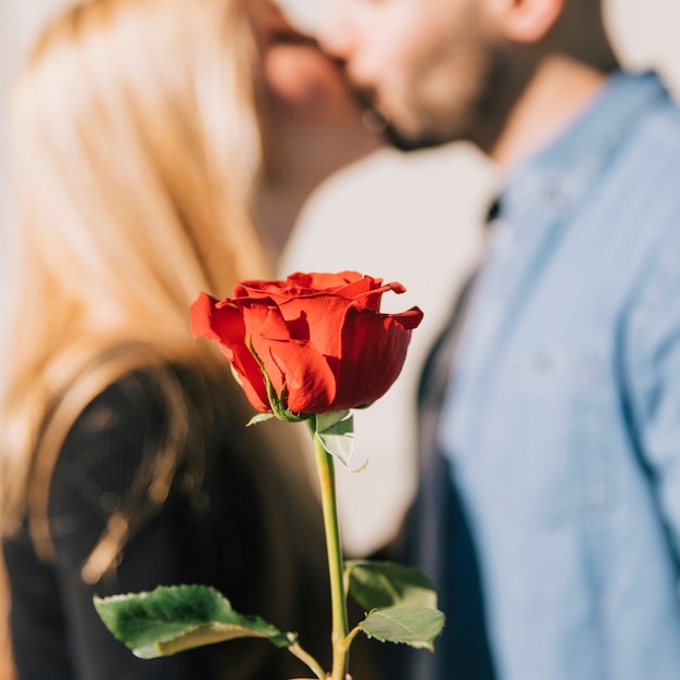 Rosa roja sobre fondo de pareja besándose