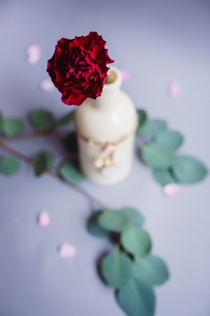 Rosa rojo oscuro poner en una botella blanca se encuentra en la mesa con ramas verdes