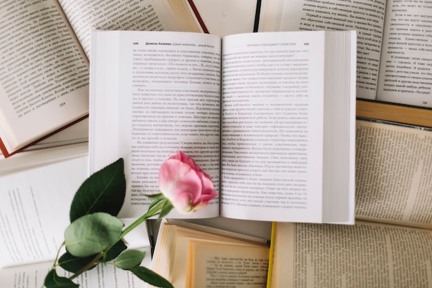 Foto gratuita rosa rosa en libros abiertos