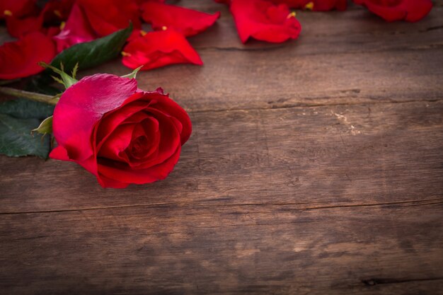 Rosa sobre una mesa de madera