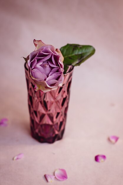 Rosa vidrio con violeta hortensia y hoja verde