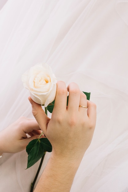 Foto gratuita rosas blancas con velo de novia