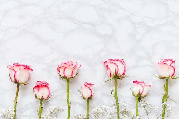 Foto gratuita rosas decorativas de colores sobre un fondo