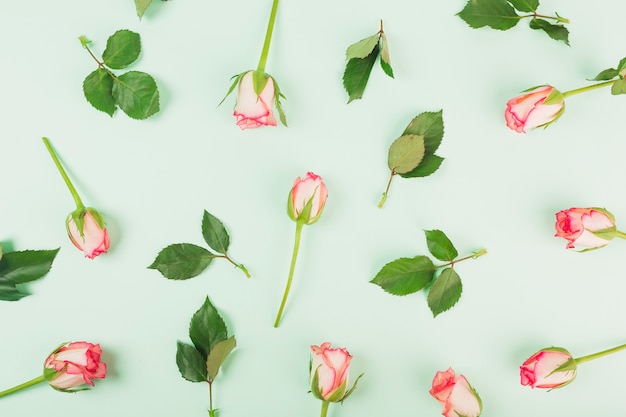 Rosas y hojas en azul claro