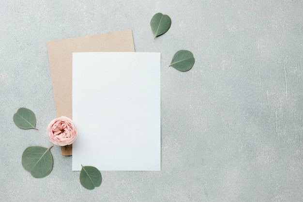 Rosas y hojas planas con papeles en blanco