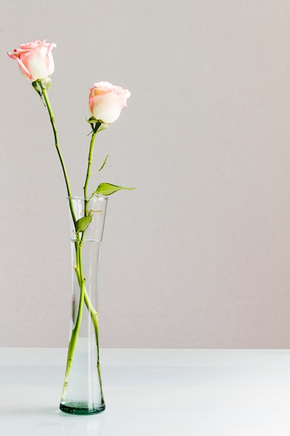 Rosas en un jarrón de cristal