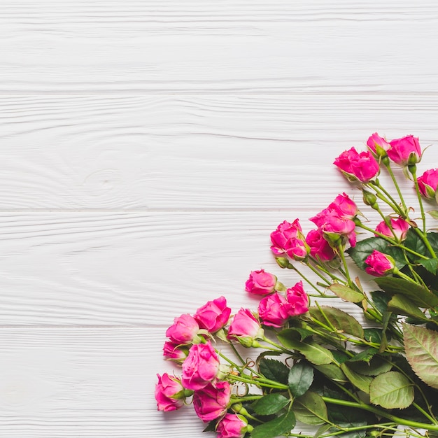 Rosas pequeñas en blanco